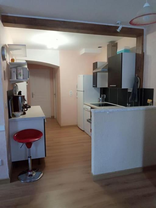 Residence Gascogne, Appartement Rose Boreal Eaux-Bonnes Eksteriør bilde